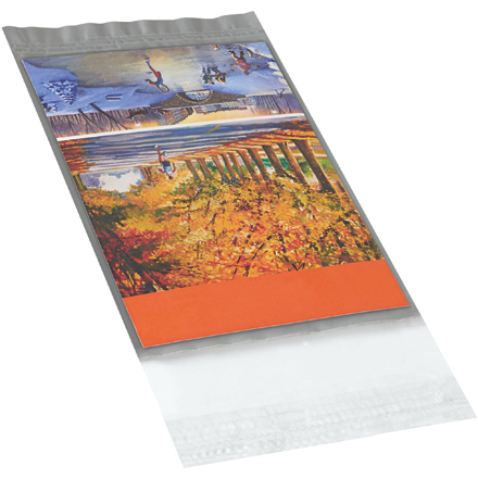 5 x 7" Clear View Poly Mailers